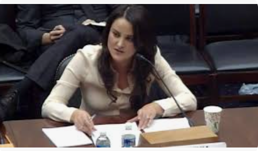 Gönül Tol/New York Times: Erdoğan’ın vazgeçilmezliği