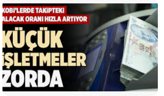 Büyük Şirketler için Dövizle Borçlan, TL ile Yönet Stratejisi, KOBİ’ ler için ise Konkordato ve İflas..