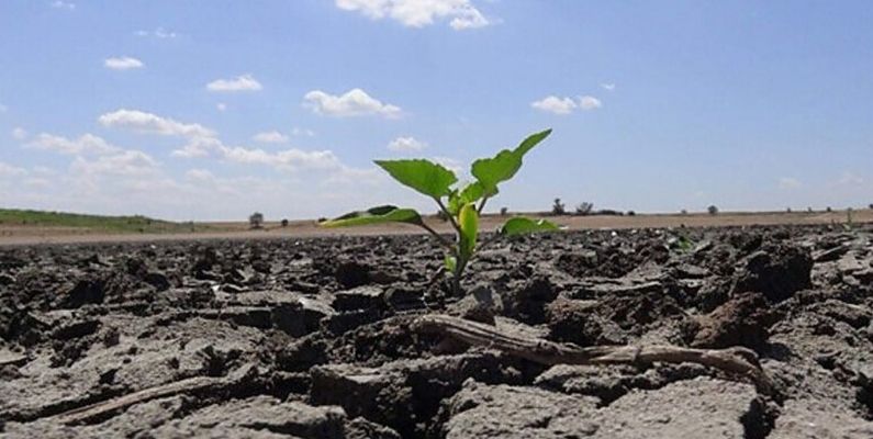 Cumhurbaşkanlığı Raporu: Türkiye’yi Bekleyen Su Krizi Kapıda