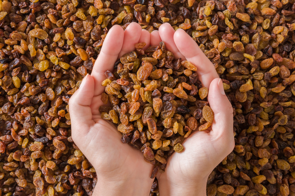 Türkiye, dünya kuru üzüm ihracatının yüzde 30’unu tek başına yapacak!