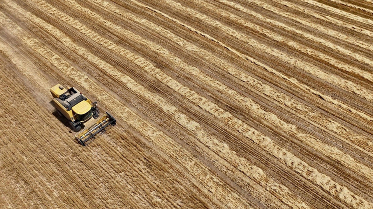 TÜİK Açıkladı: 2025’te Bitkisel Üretimde Sert Düşüş Var