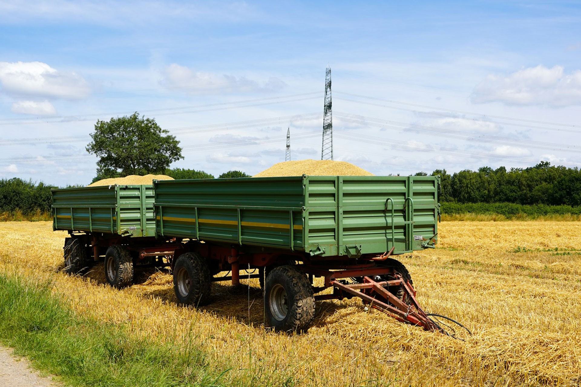 Üreticinin Girdi Enflasyonu Hız Kesmedi: Tarımsal Girdi Fiyatlarında Yıllık Artış Yüzde 33,66