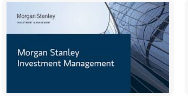 Morgan Stanley Varlık Yönetimi: 2026 Boğa Piyasasını Dizginler mi?