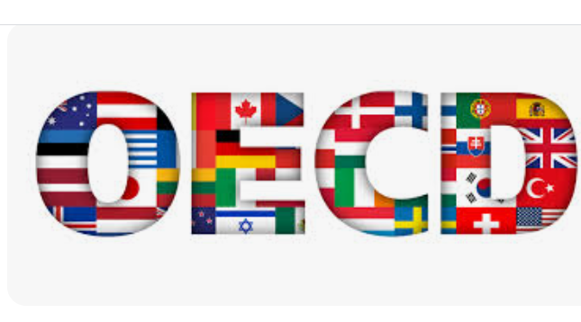 OECD Küresel Ekonomiye Uyarı Verdi: Büyüme Dirençli, Ancak Riskler Artıyor