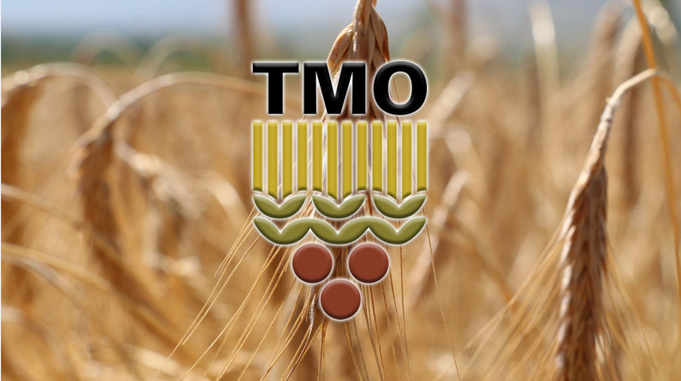 Cumhuriyetin Köklü Kurumu TMO, Rekor Seviyede Zarar Açıkladı