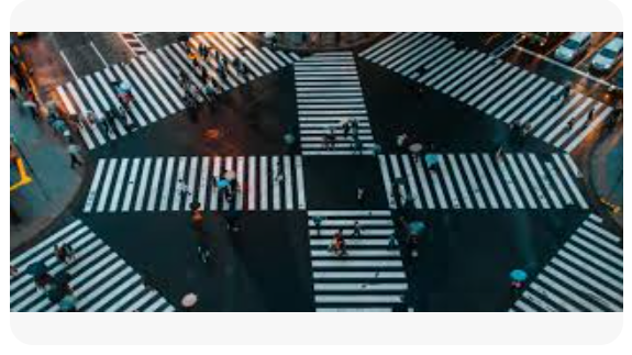 Yeni Dünya Düzeni ya da Çöküş: Trump Sonrası Dünya’yı  Nasıl İnşa Edeceğiz?