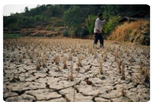 Tarım Çöktü, Oyun Bitti! Merkez Bankası Planı Değiştirmeli | Atilla Yeşilada ve Semih Sakallı video