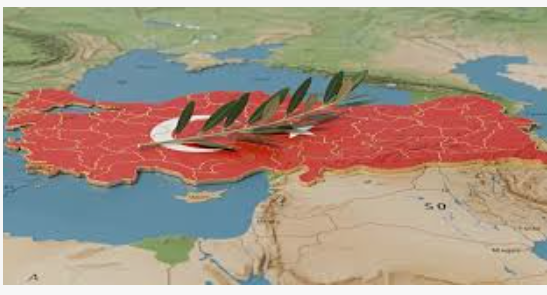 Seçmen Eğilimleri Analizi: “Terörsüz Türkiye” ve Barış Süreci