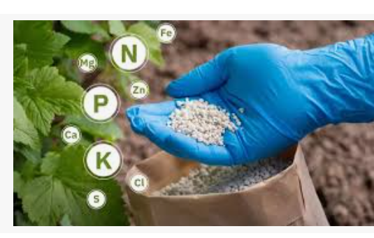 Hürmüz Krizi Sadece Enerjiyi Değil, Gıda Güvenliğini de Tehdit Ediyor