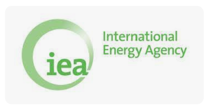 UEA’ndan Acil Enerji Planı: Uzaktan Çalışma ve Trafik Kısıtlamaları Gündemde