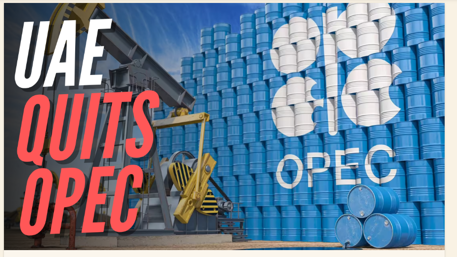 BAE’den ŞOK KARAR: OPEC ve OPEC+’tan Ayrılıyor