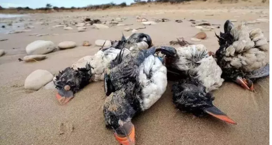 Ekonomide Zor Gün: 9 Şirket Birden Konkordato İlan Etti