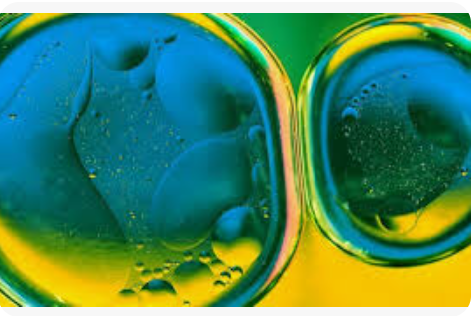 Enerji Devrimi: Japonya, Havadan ve Sudan Petrol Üretmeyi Başardı!