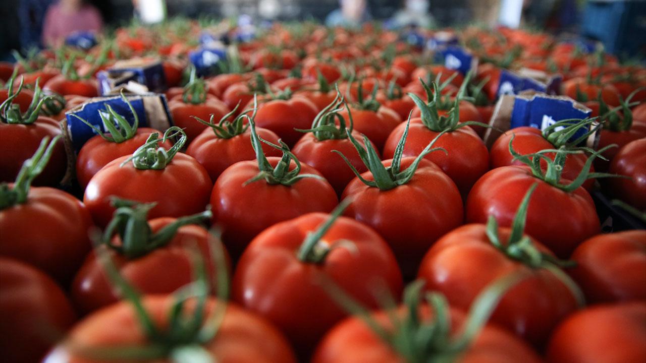 Asgari Ücretin “Domates” ile İmtihanı: Tek Bir Pembe Domatesin Fiyatı Asgari Ücreti Yakaladı!